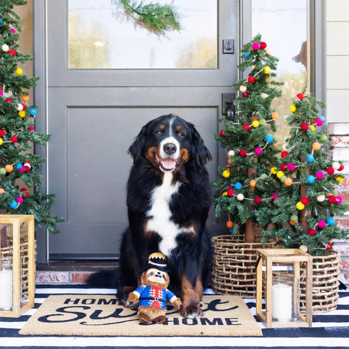 PetShop I Crush A Lot Plush Dog Toy - Poudre Pet & Feed Supply 3